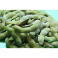 IQF Frozen Soybean Edamame In Pods